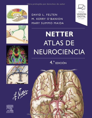 Netter. Atlas De Neurociencia (4ª Ed.)