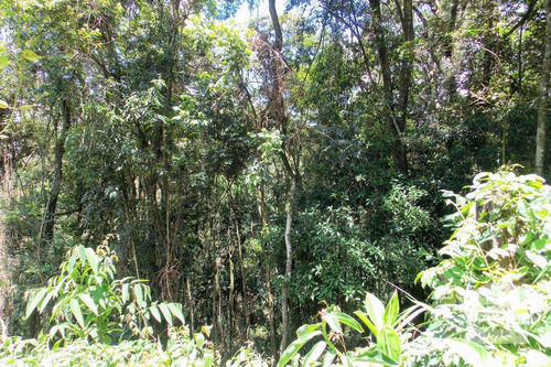 Imagem 15 de 15 de Lote Em Condomínio À Venda No Bosque Residencial Do Jambreiro - Código 274094 - 274094