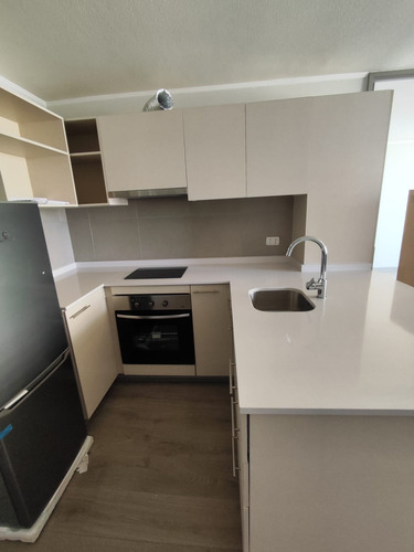 Arriendo Departamento 1 D 1 B Bod Y Terraza Semi Amoblado