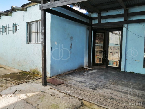 Imagen 10 de 10 de Local Comercial En El Centro De Malodonado, Ideal Para Depósito, Restaurante O Colegio.