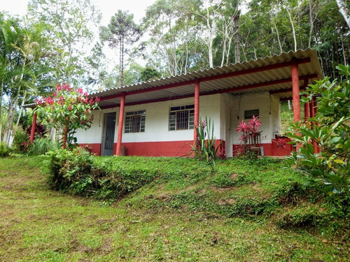 Imagem 9 de 15 de Chácara Com 3 Lagos Piscina Pomar 2 Casas Área De Churrasco