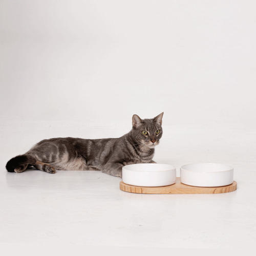 Comedero Bebedero Plato Para Perro Y Gato Mypaw Joy Color Kit Blanco