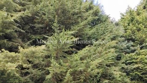 Invierte En Tranquilidad: Terreno Residencial Ecológico En El Ajusco