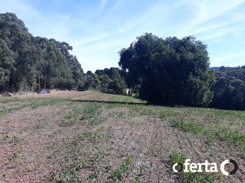 Imagem 9 de 15 de Chacara - Bugre - Ref: 773 - V-773