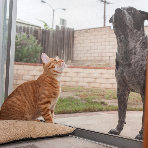 Doca - De Visualización Ventana Mascotas, Rollo Resi...