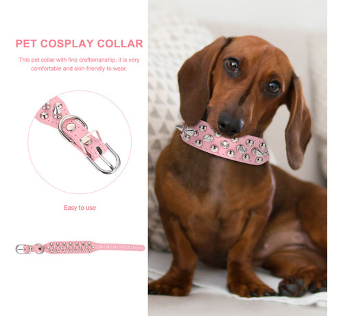Collar De Perro Con PĂșas, Collar De Perro Con Remache