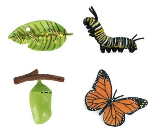 Ciclo De Vida Mariposa Monarca, Modelo Educativo Montesori