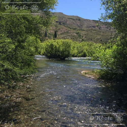 Imagen 10 de 30 de Chacra En Bariloche Sobre El Río Limay - Pesca Patagonia