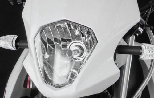 Imagen 9 de 25 de Zanella Enduro Zr 250 Lt Ohc Zárate