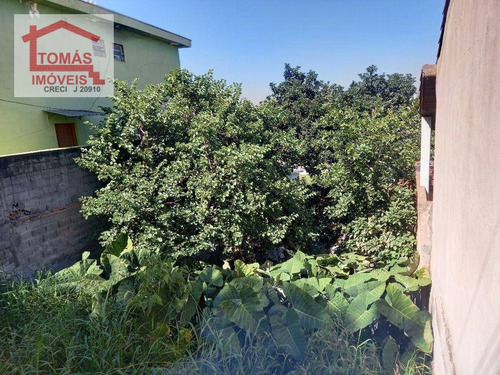 Imagem 1 de 3 de Terreno Mangalot 250 M² - Te0335