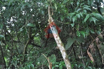 Imagem 3 de 7 de Terreno - Ref: 02665