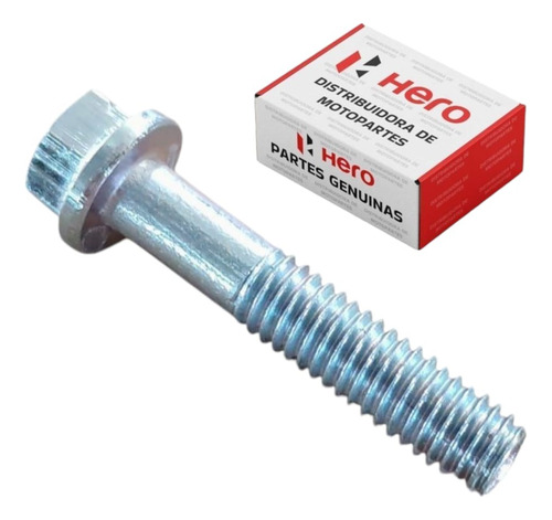 Tornillo (carter) M6x30 Para Hero Hunk 160 R M10060005