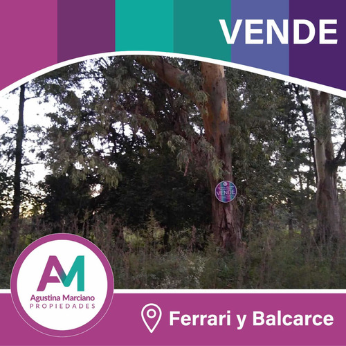 Imagen 3 de 3 de Manzana En Venta!