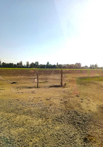 Vendo Terreno 5000m2 En Comuna Retiro, Vii (84425)