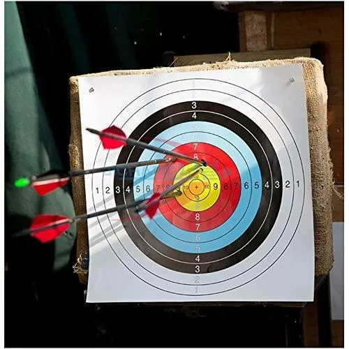 Juego De Arco Y Flecha Para Principiantes Con 9 Flechas