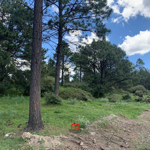 Vendo Lote En Villa Berna