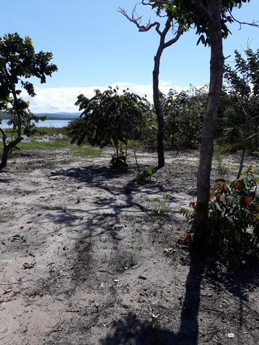 Imagem 8 de 11 de Vende/troca Chácara 13x77 Beira Do Lago/luzimangues