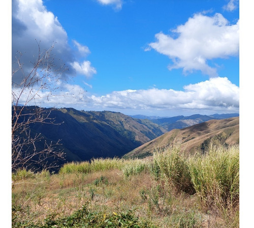 Imagen 13 de 21 de Best House Vende Terreno En El Jarillo Cerca De Quebrada Honda