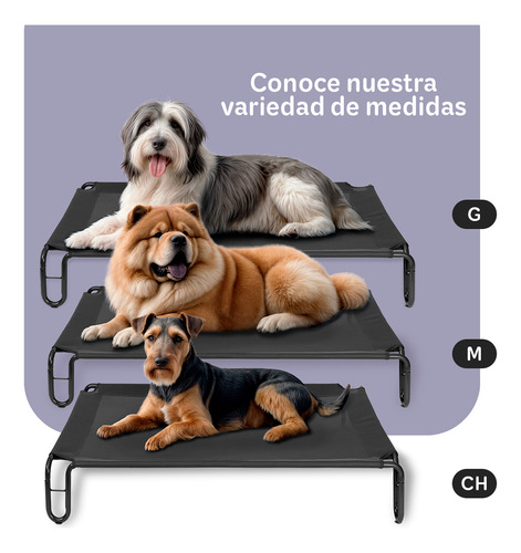 Cama Elevada para Perro con Malla Transpirable ideal en Calor, Catre de Mascotas Esquimal Pets. Negro, 90x65x20cm