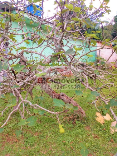 Imagem 4 de 14 de Linda Chácara.