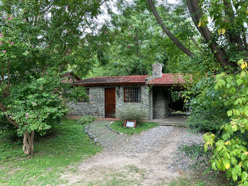 Casa En Alquiler En Santa Ana, Colonia