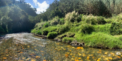 Venta De Lote En La Union, Antioquia