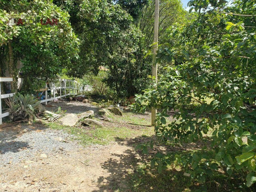 Imagem 4 de 4 de Sítio À Venda, 16573 M² Por R$ 2.450.000,00 - Sertão Trombudo - Itapema/sc - Si0005