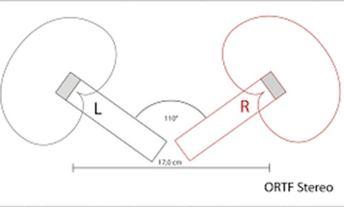 Imagen 4 de 5 de Par De Micrófonos De Condensador Alctron Dm-3 Matched Pair