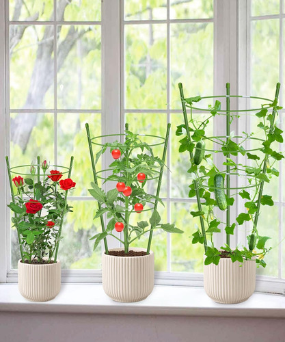 Paquete De 4 Jaulas Para Tomates Con Soporte Para Plantas De