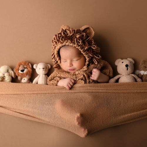 Disfraz De León Con Accesorios Fotográficos Para Bebés Recié