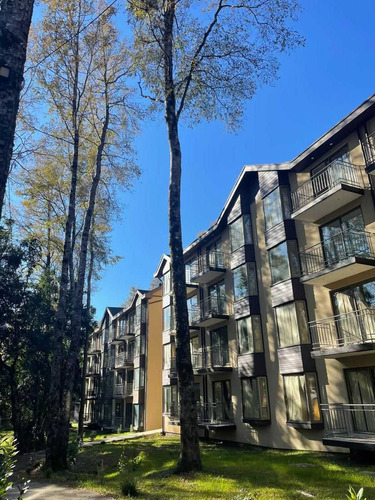 Lindo Departamento (79616)