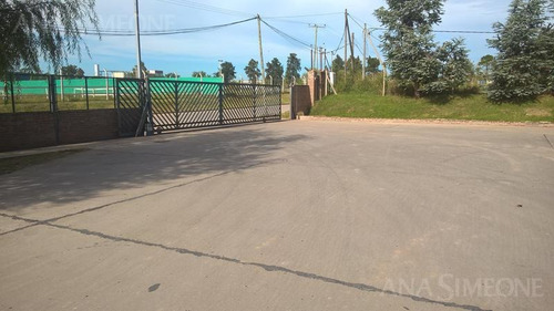 Imagen 7 de 8 de Excelente Nave Aaa De 11.500 M2 A Estrenar