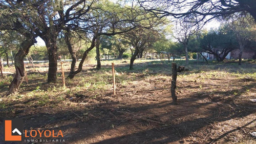 Imagen 5 de 8 de Gran Lote De 1500 Mts Con Forestacion Autoctona!!