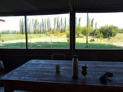 Imagen 4 de 8 de Campo - General Alvear