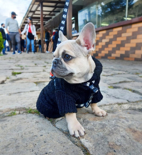 Sacos De Lana Para Mascotas, Perr - Unidad a $36000