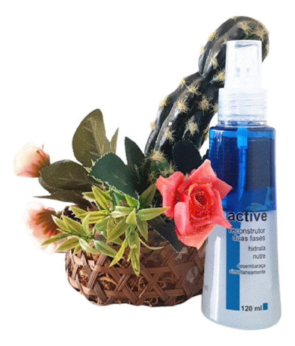 Leave In Tratamento Bifasico Duas Fases 120ml Wf Export