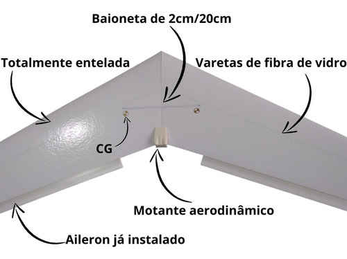 Asa Zagi Wing Star 1mtr Horizon Aeromodelo Isopor T5 Depron Cor Verde