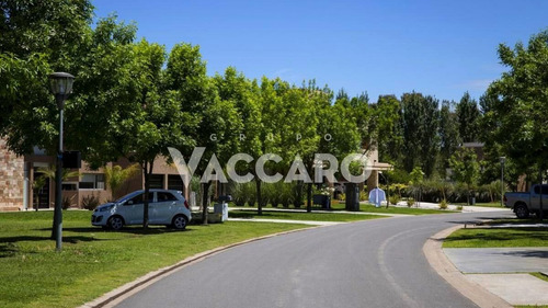 Country Terravista