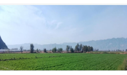Terreno En Venta En León Guzmán, Lerdo, Durango