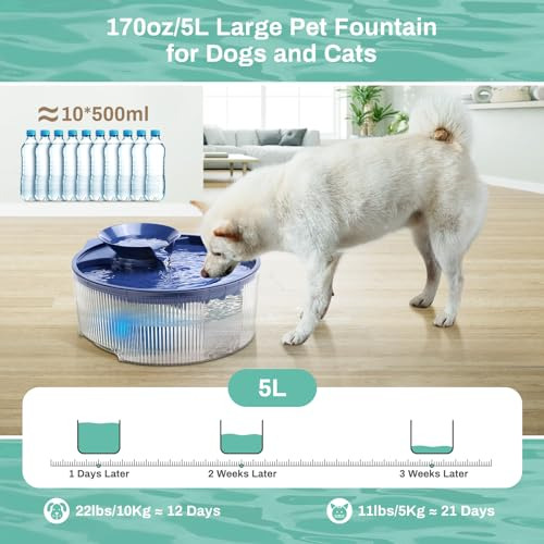 Fuente De Agua Grande Para Mascotas Con Luz Led