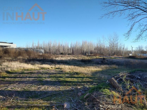 Imagen 2 de 12 de Terreno - Neuquen
