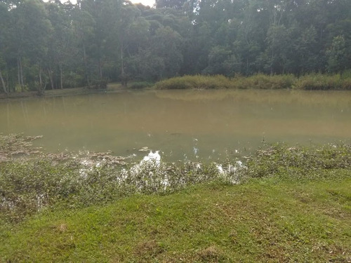 Imagem 7 de 14 de Vendo Ou Troco, Sítio Com 19780 M²,
