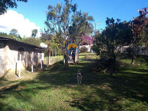 Imagem 7 de 15 de Terreno - Tr015_2-1189742