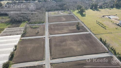 Lotes En Venta En El Pato - Berazategui - Terrenos Desde 295 M2