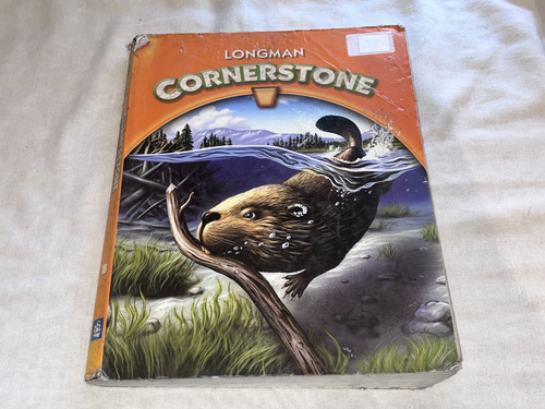 Cornerstone B - Longman (Usado)