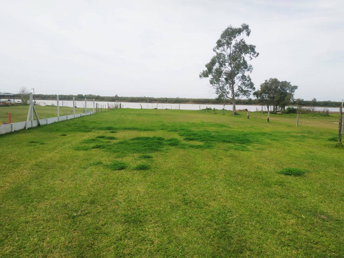 Imagen 22 de 24 de Se Vende 1ha. Con 3 Casas Sobre Ruta 11 Km 450