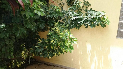 Imagem 17 de 27 de Casa Para Venda, 4 Dormitórios, Vila Gumercindo - São Paulo - 11153