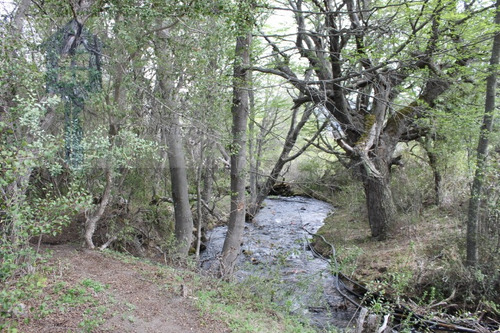 Imagen 6 de 14 de Vendo Lote Con Costa De Arroyo En Meliquina 1