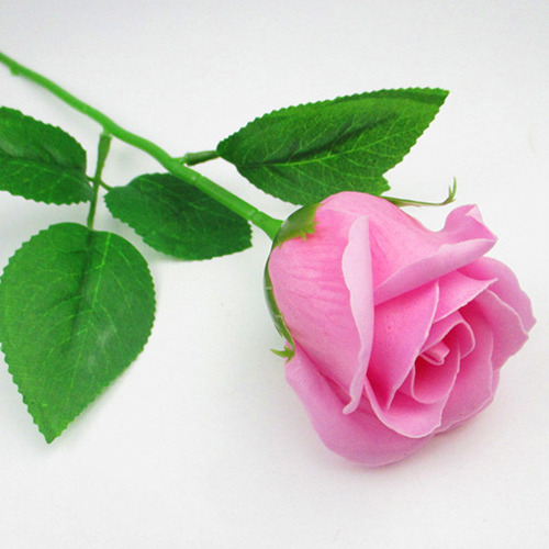 Hojas Para Flores Eternas, Tallo De Rosa Artificial, 40 Unid