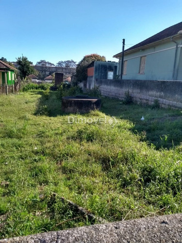Imagem 5 de 7 de Terreno - Camaqua - Ref: 23205 - V-23205
